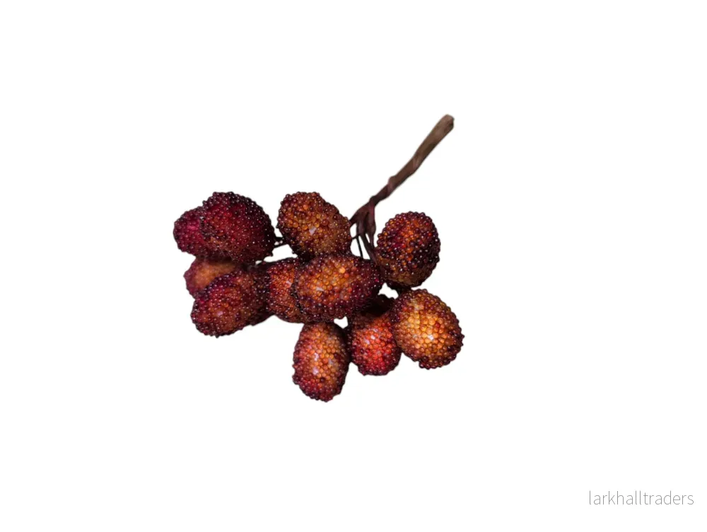 Dekorations bär Red Berries Dekorations bär Red Berries