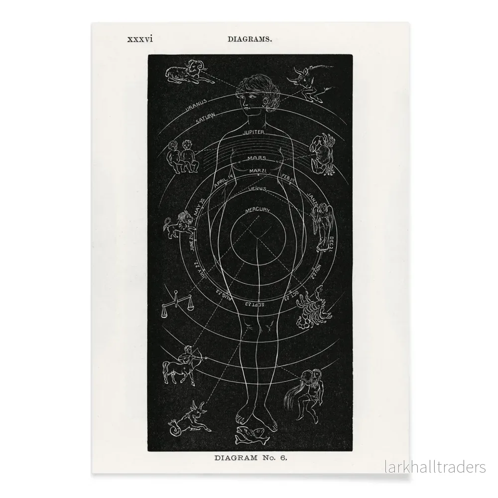 Diagram nr 6 Poster - Bild 2