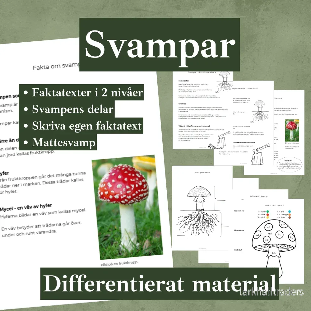 Svampar differentierat material. Faktatexter i två nivåer, svampens delar, mattesvamp, skriva egen faktatext