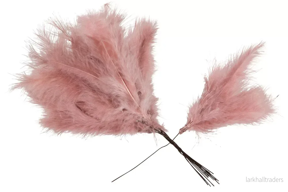 Fjäder Trådad Vippa G.rosa Fjäder Trådad Vippa G.rosa