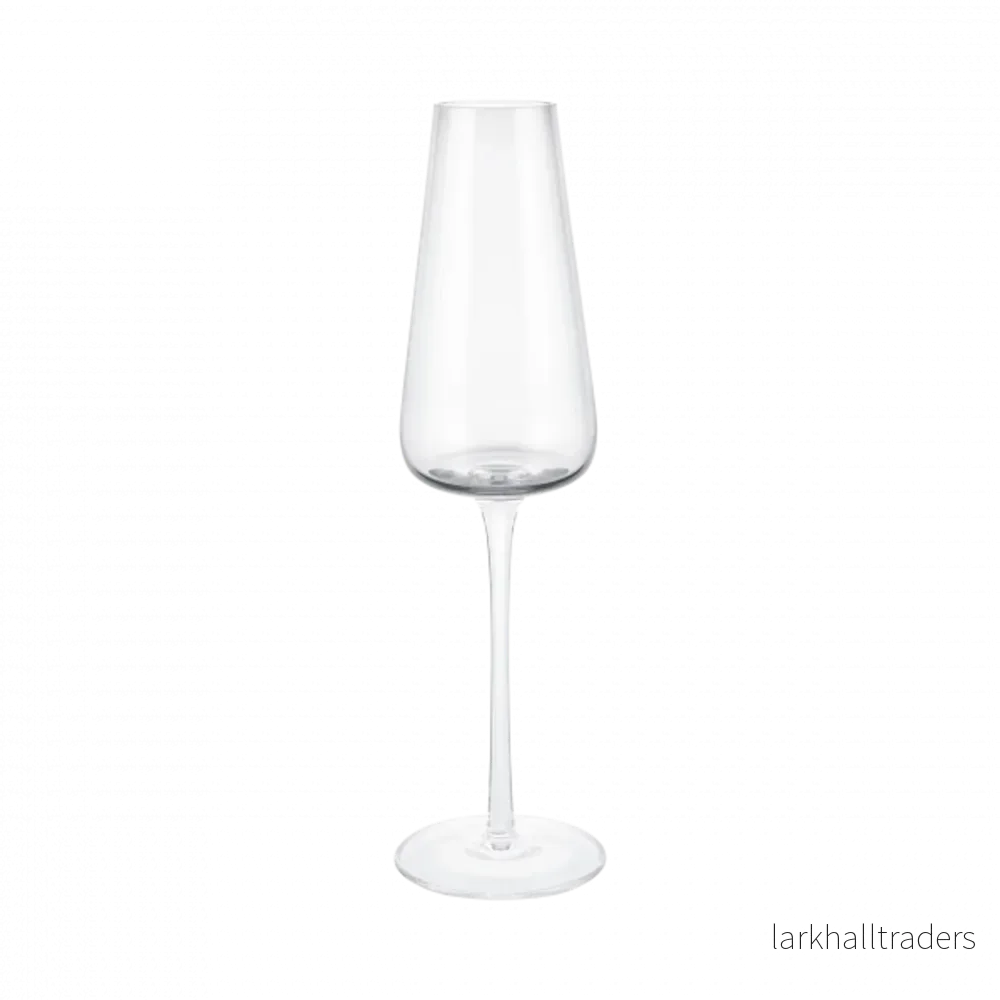 Champagneglas Belo 2-pack clear