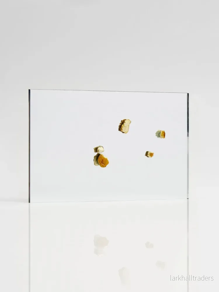 MIETTES DE PAIN Spegel - Bild 2