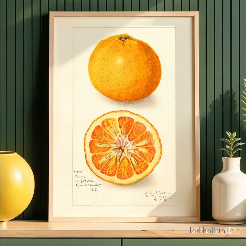Citrus nobilis Poster