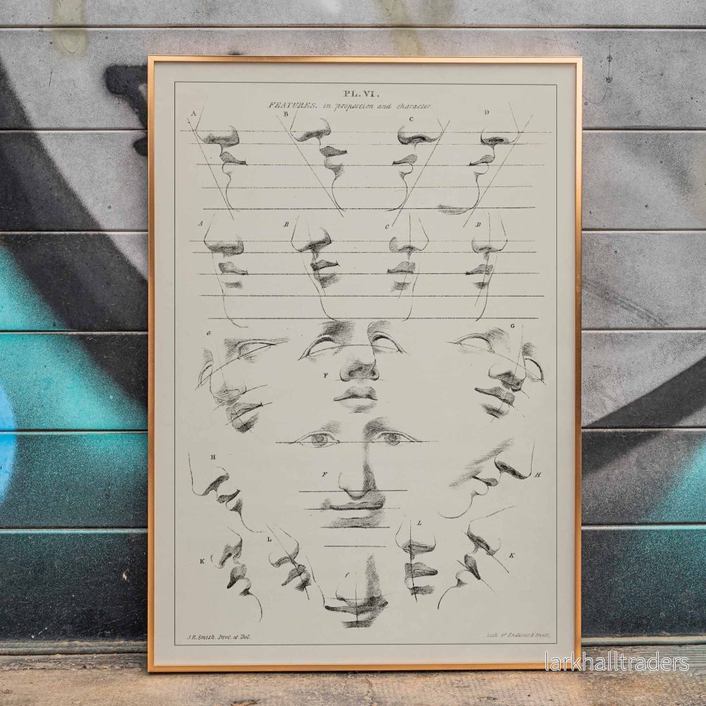 Key to the art of drawing the human figure Poster