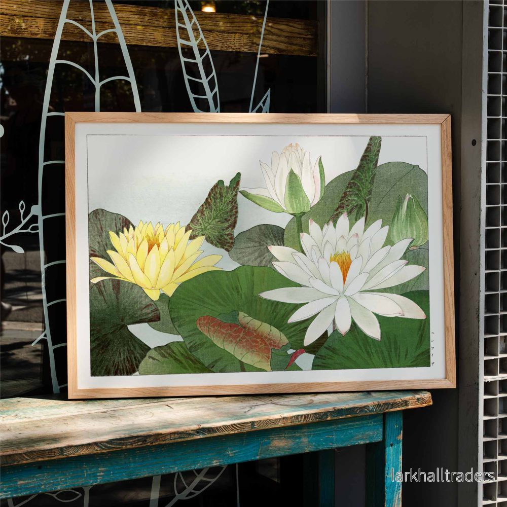 Nymphaea lotus Poster Nymphaea lotus Poster