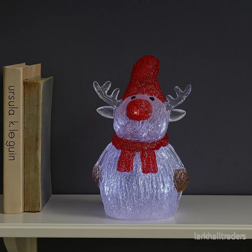 Ren Akryl - höjd 21 cm med LED-belysning - Bild 2