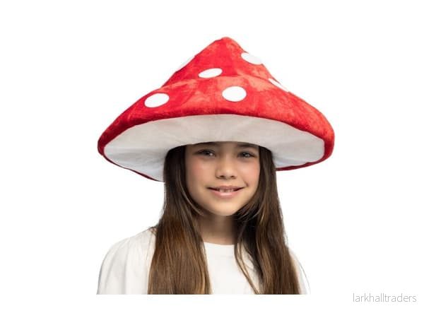 Hatt, flugsvamp Hatt, flugsvamp