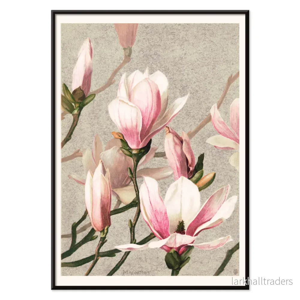 Magnolia Poster - Bild 2