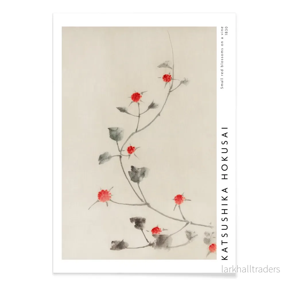 Små röda blommor på en ranka Poster - Bild 2