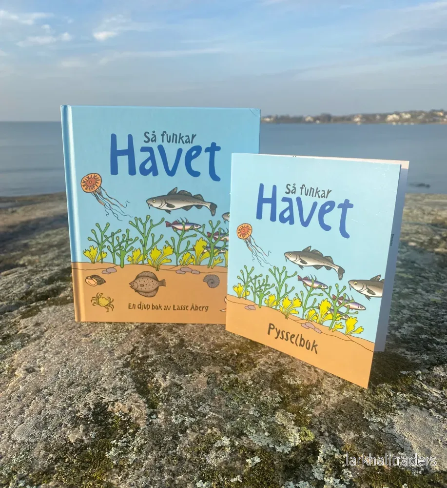 Så funkar havet - med pysselbok - Bild 3