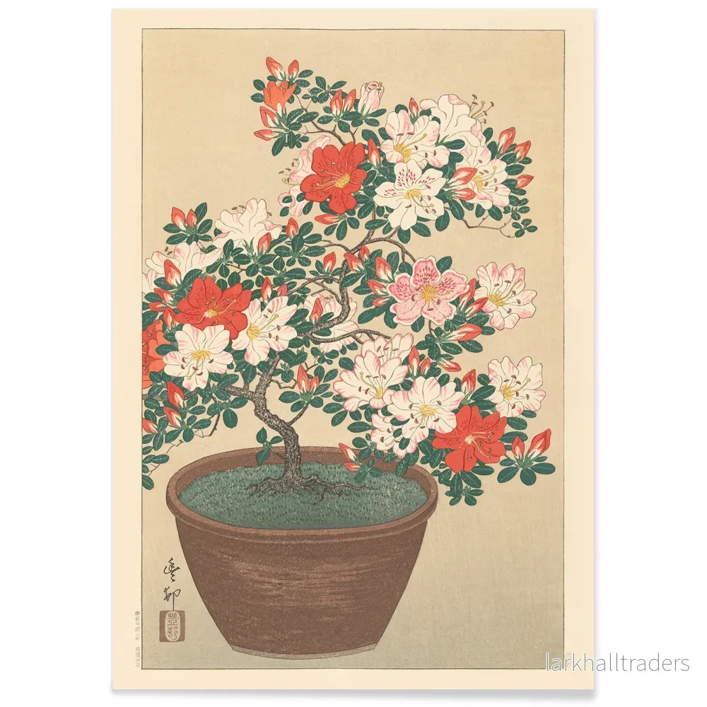 Blommande azalea Poster - Bild 2