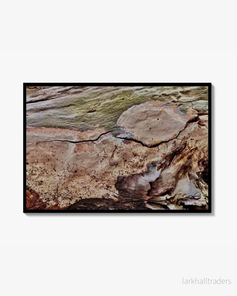 Lichen Reverie - Fotoposter Print - Bild 3
