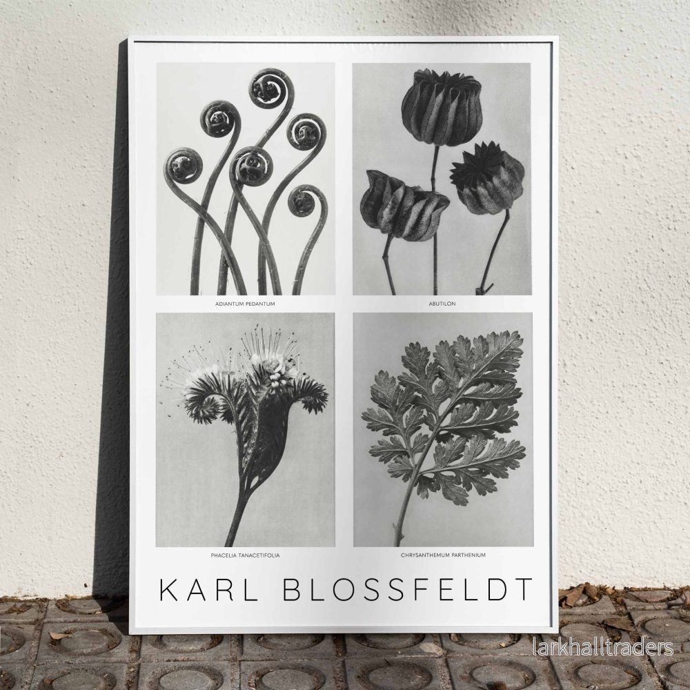Blommor Poster 2 Blommor Poster 2