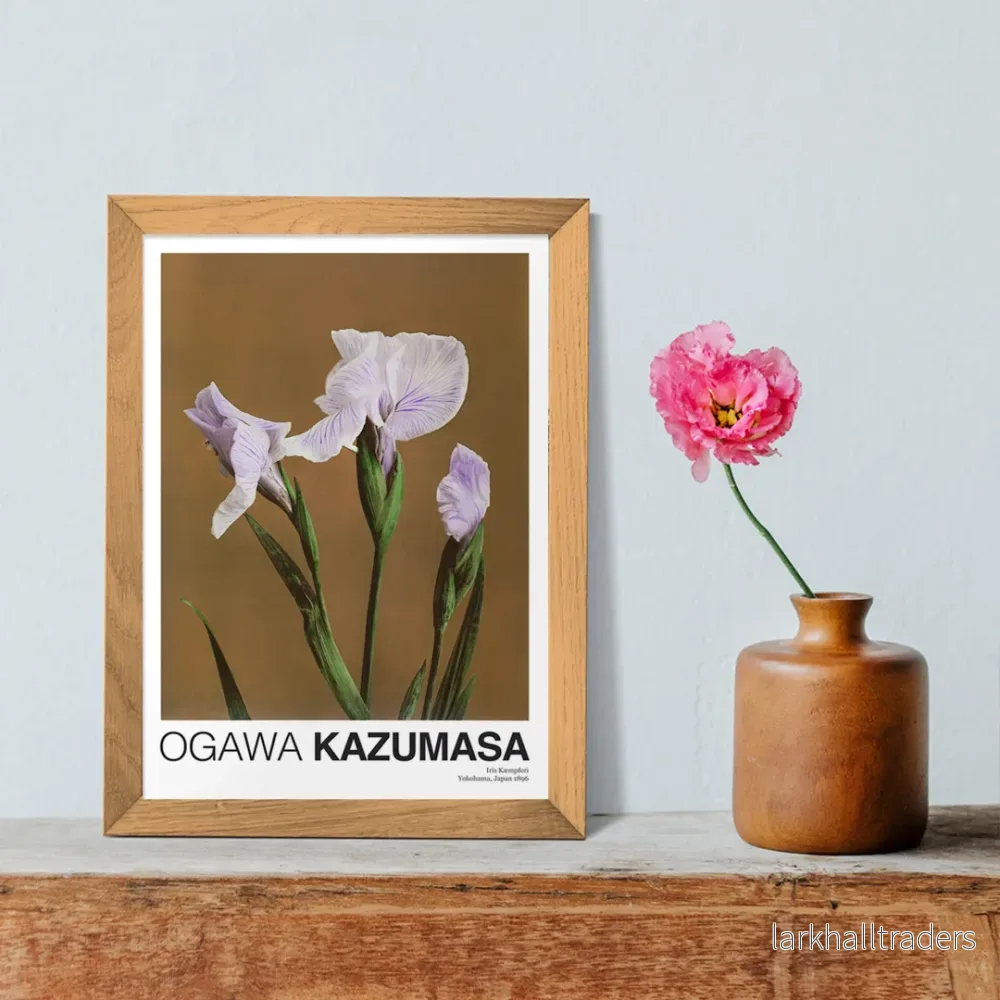 Iris Kämpferi Poster Iris Kämpferi Poster