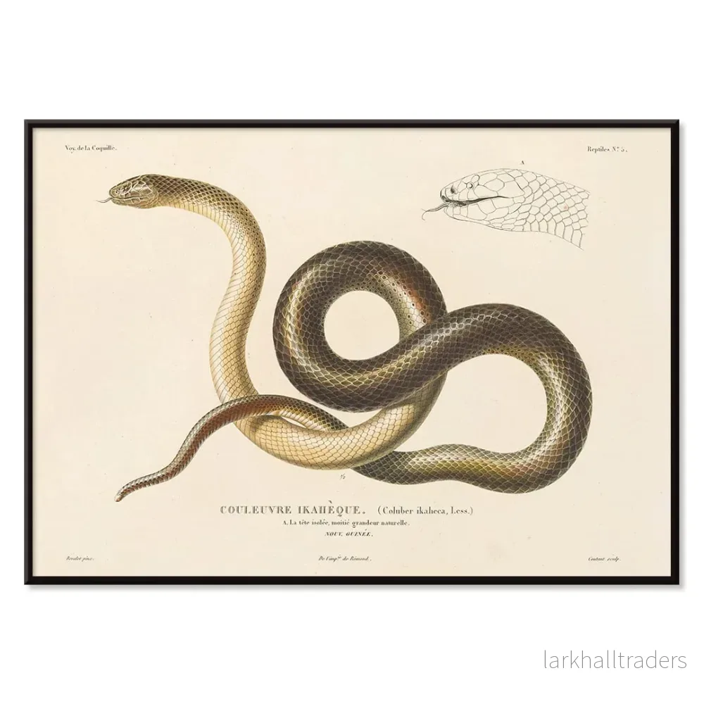 Voyage autour du monde 5 Poster - Bild 2