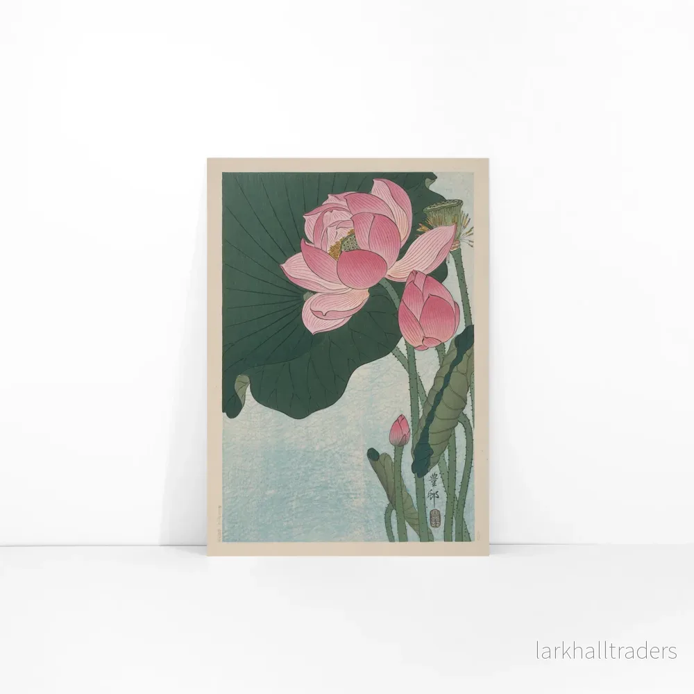 Blommande lotusblommor Poster - Bild 3