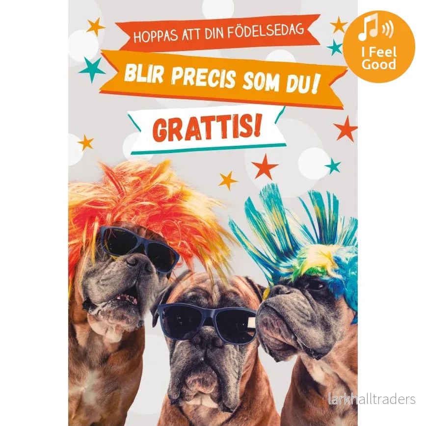 Dubbla kort med ljudeffekt, Du är COOL - Bild 2