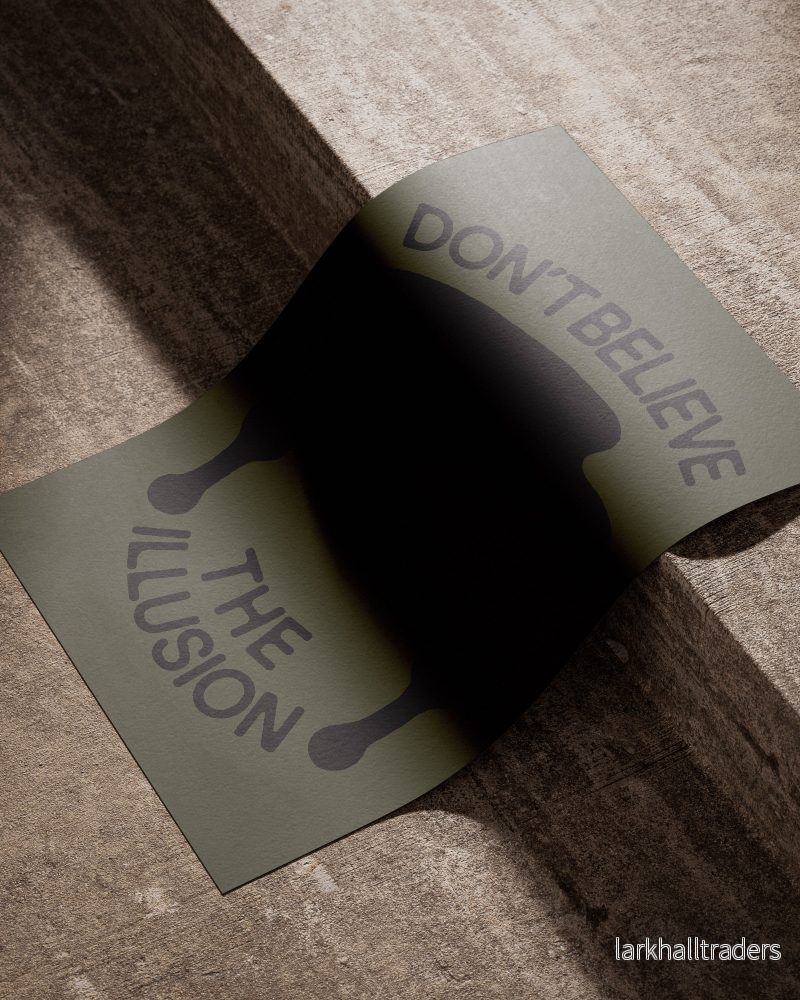 "DON'T BELIEVE THE ILLUSION" POSTER - Bild 2