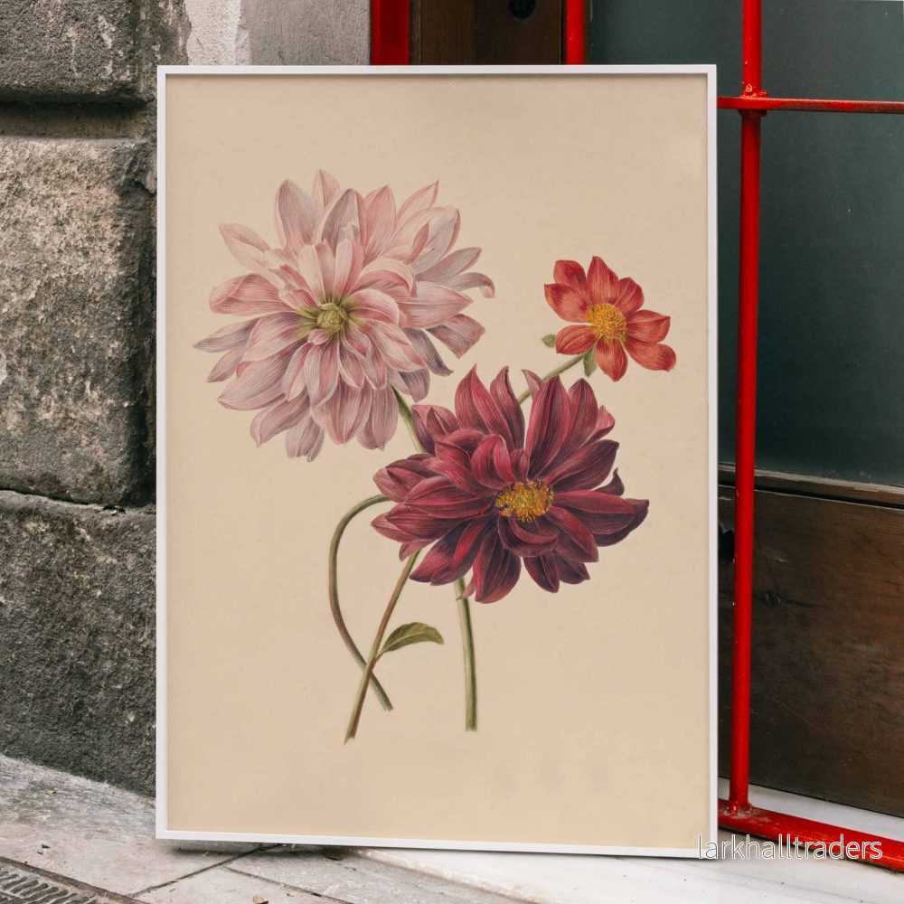 Dahlior Poster