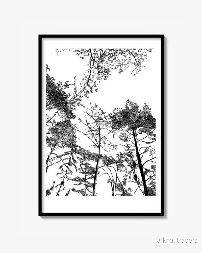 Trees and sky Poster
