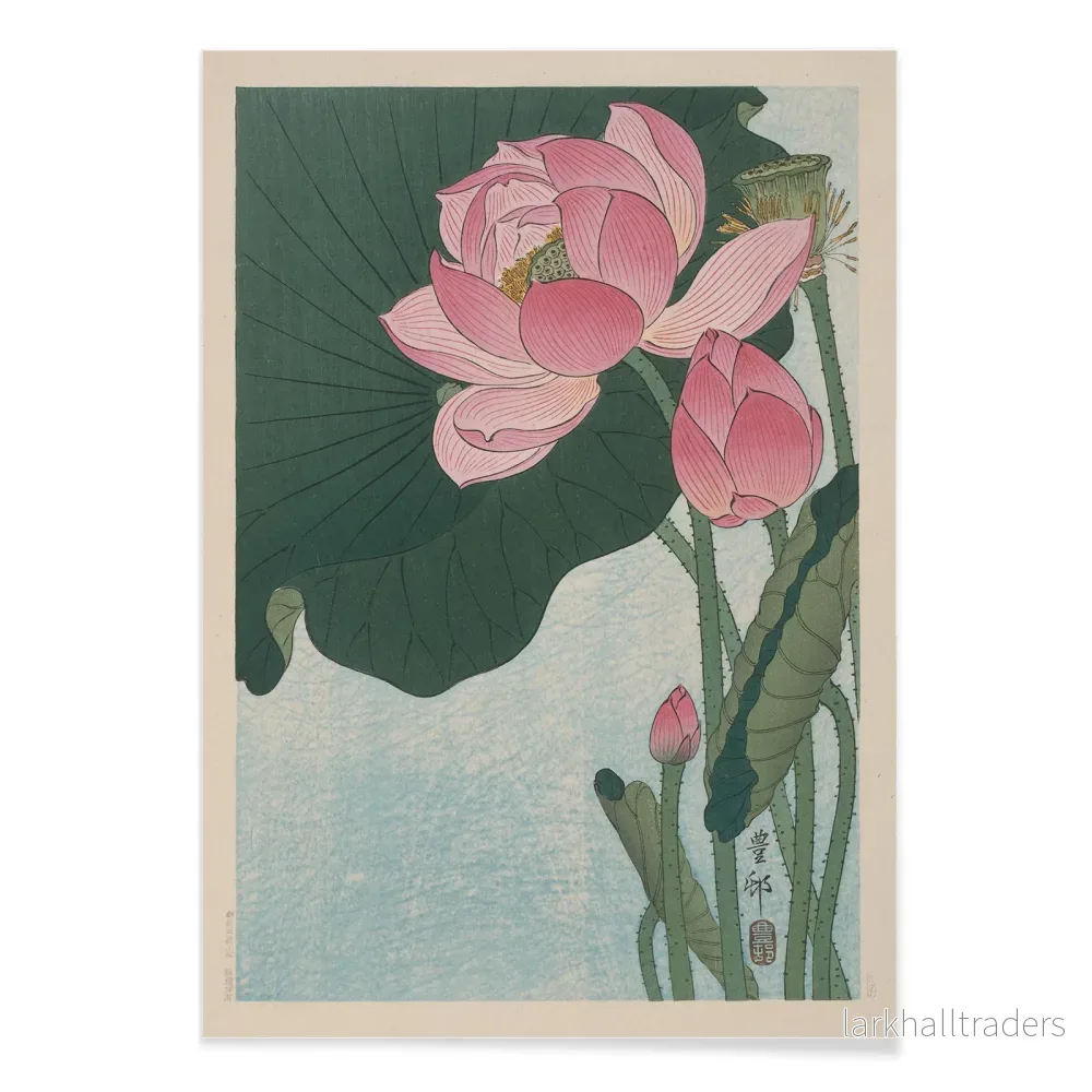 Blommande lotusblommor Poster - Bild 2