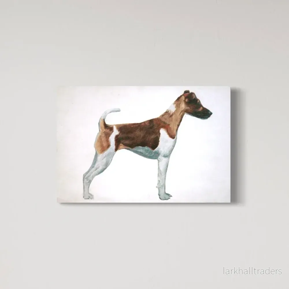 Foxterrier – Original Foxterrier – Original
