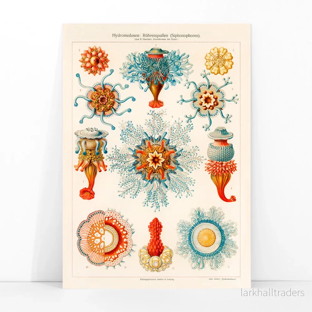 Vintage manetillustration Poster - Bild 3