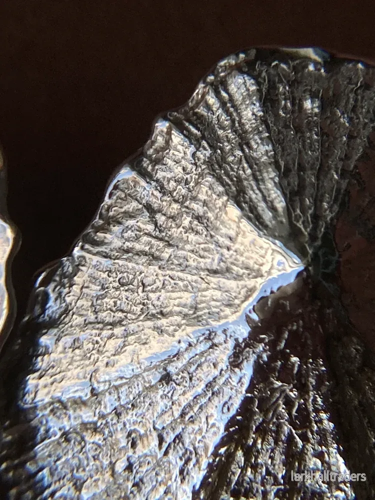 PATELLE Örhängen - Bild 2
