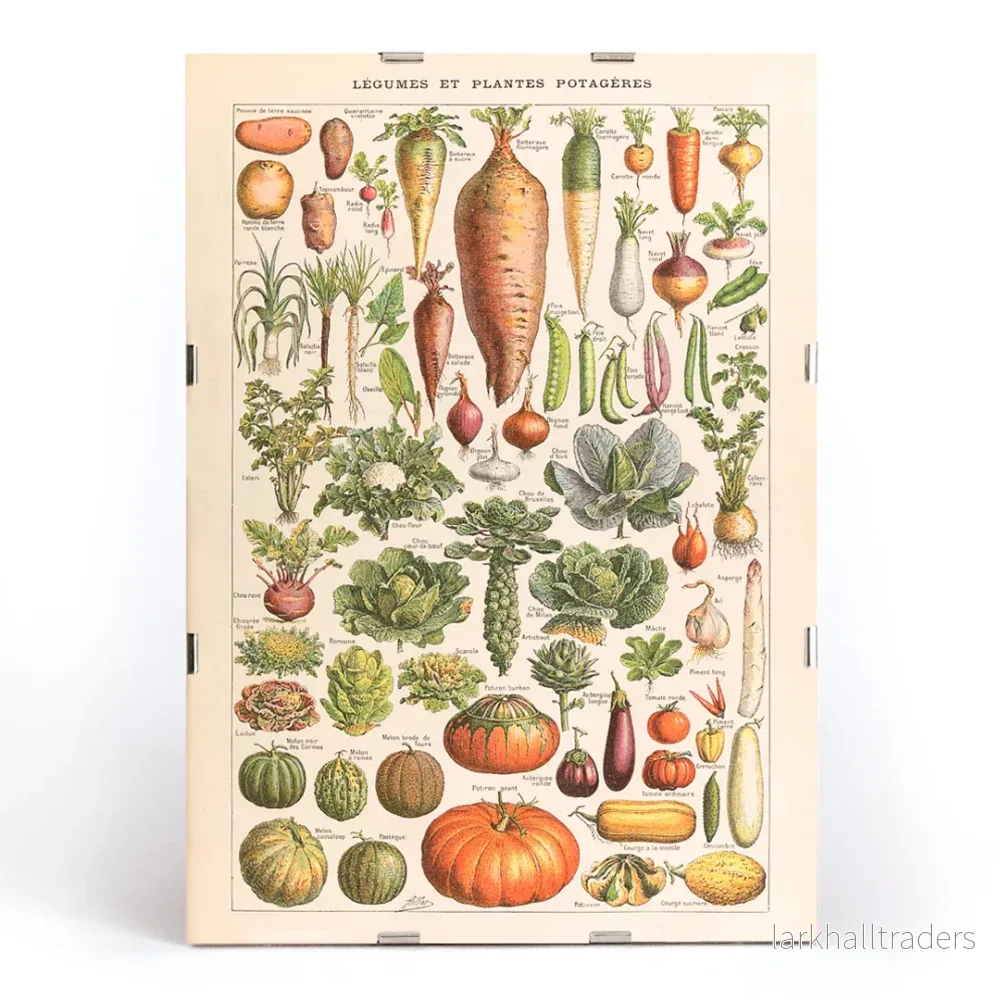 Plantes Potageres Poster - Bild 3