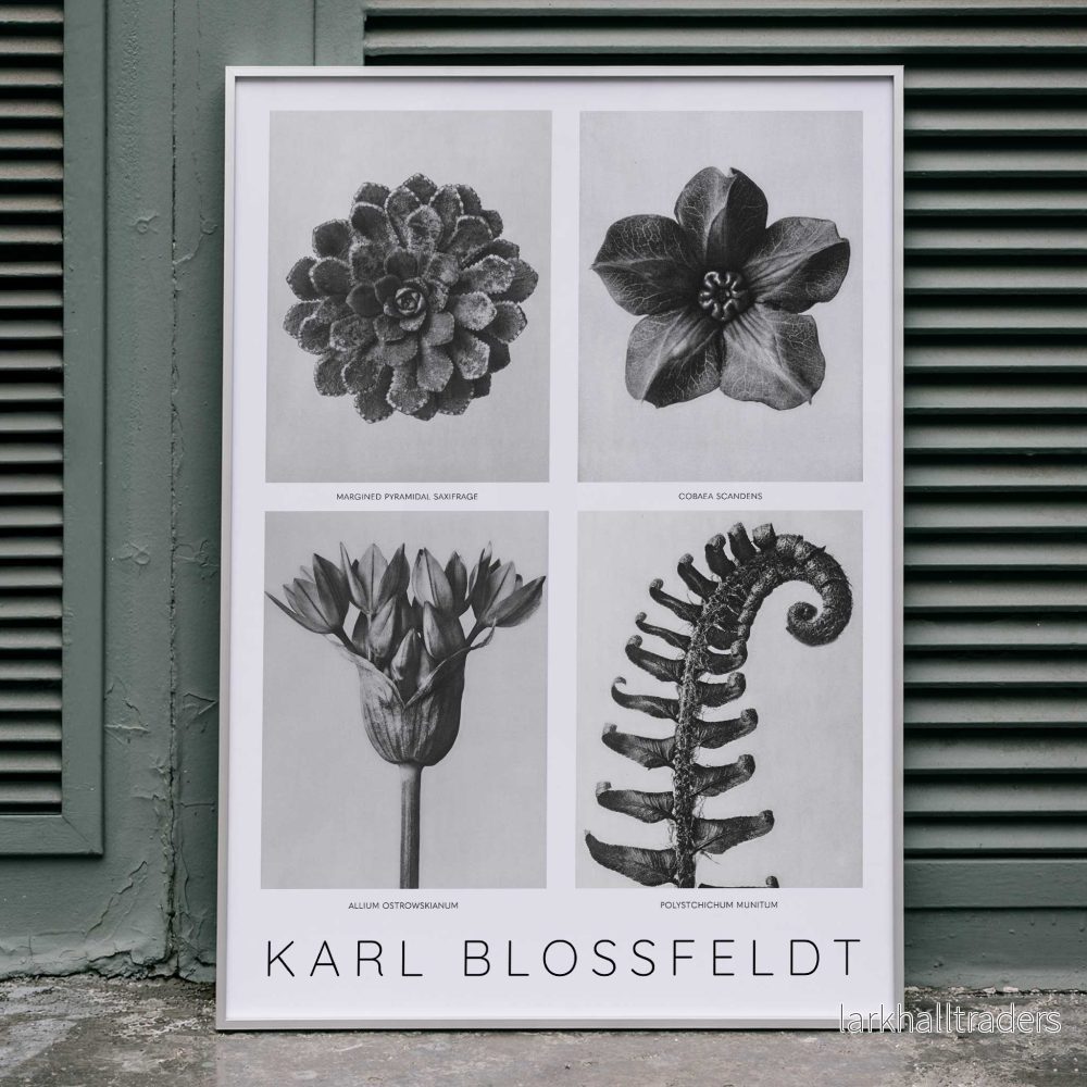 Blommor poster 1 Blommor poster 1