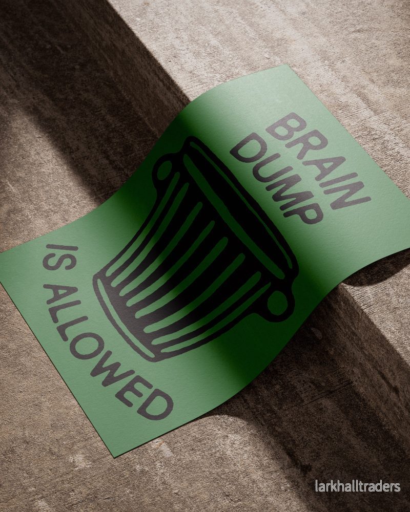 "BRAIN DUMP IS ALLOWED" Poster - Bild 2