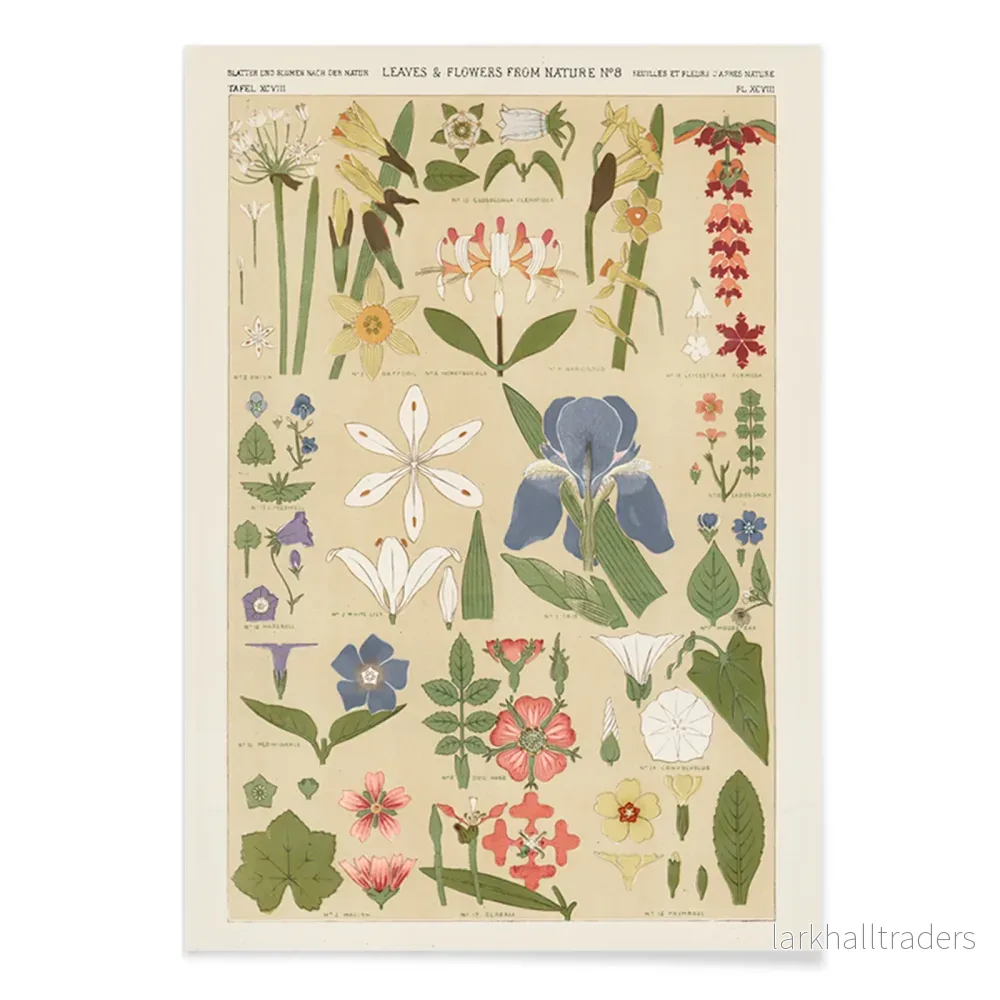 Blad och blommor Poster - Bild 2