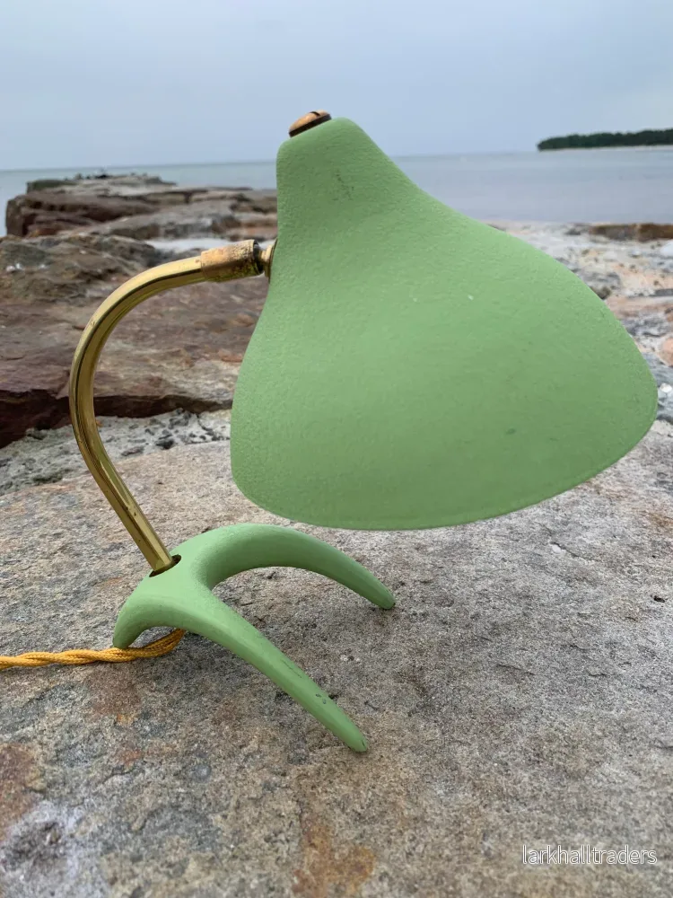 Cosack Crowfoot - Mini - Bild 2