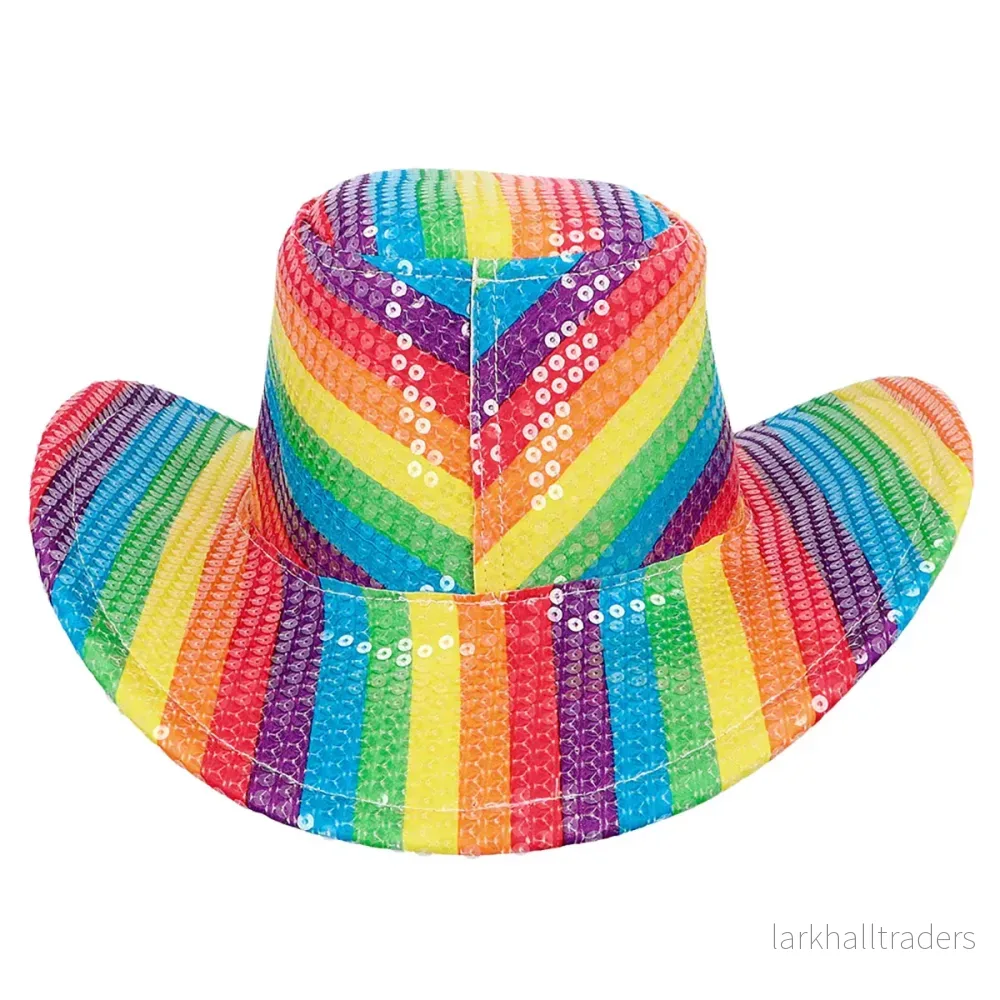 Cowboyhatt, regnbåge - Bild 2
