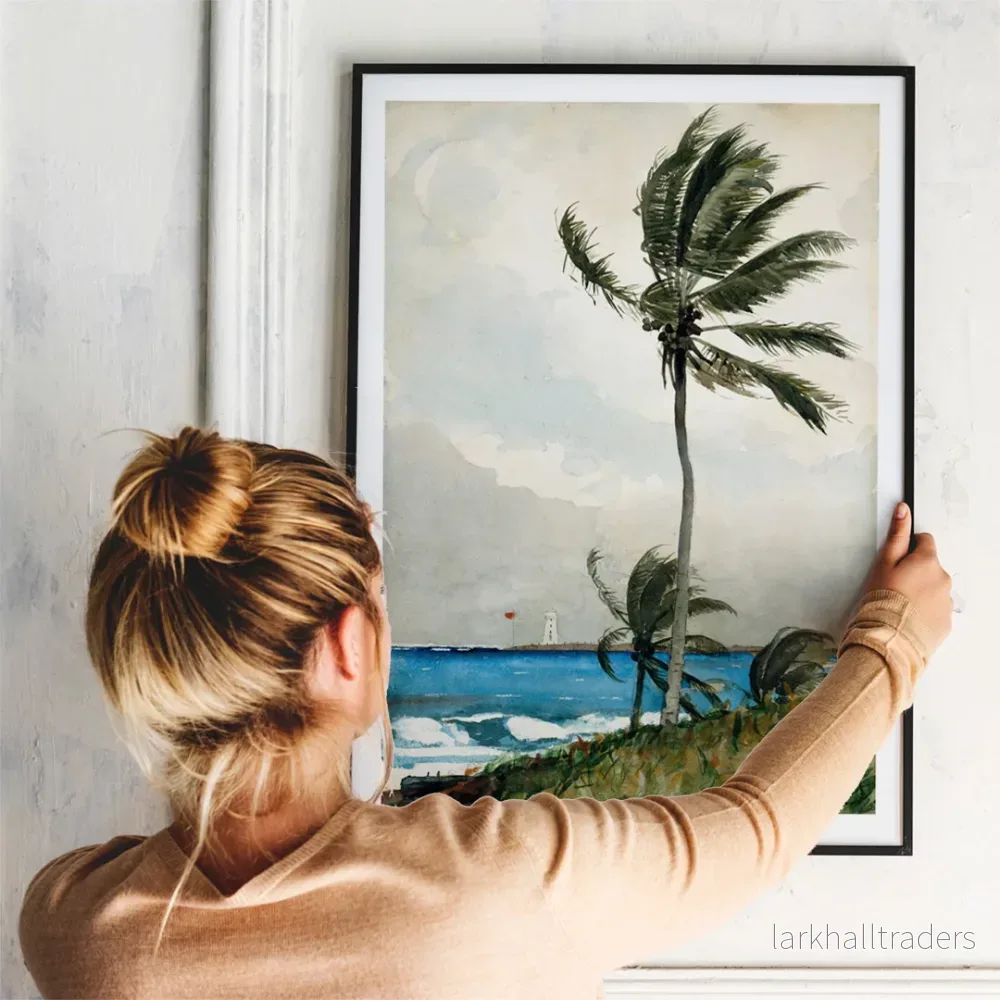 Palmträd, Nassau Poster Palmträd, Nassau Poster