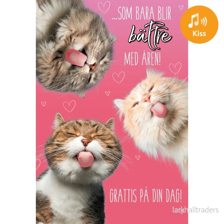Dubbla kort med ljudeffekt, Med kramar - Bild 2