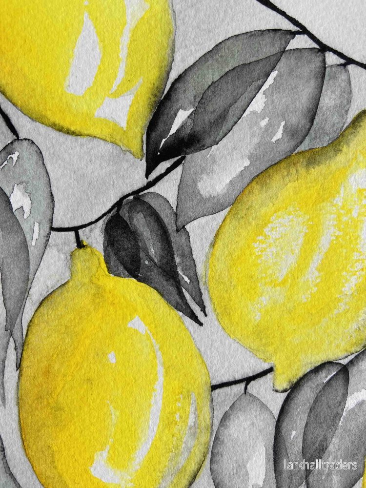 Citrusdance Original - Bild 3