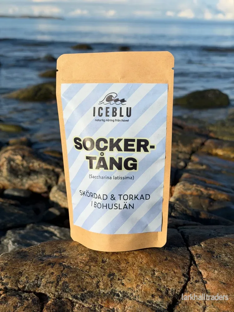 Sockertång från västkusten - Bild 2