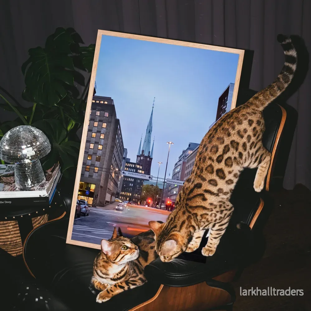 STOCKHOLM PULSE - Poster - Bild 2