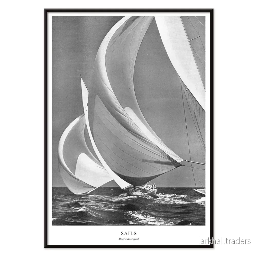 Segel Poster - Bild 2