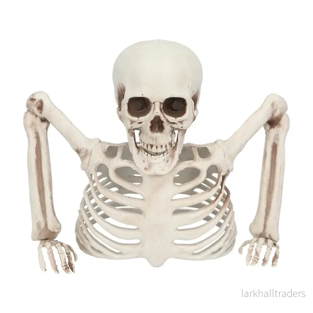 Prop, skeleton groundbreaker 20 cm