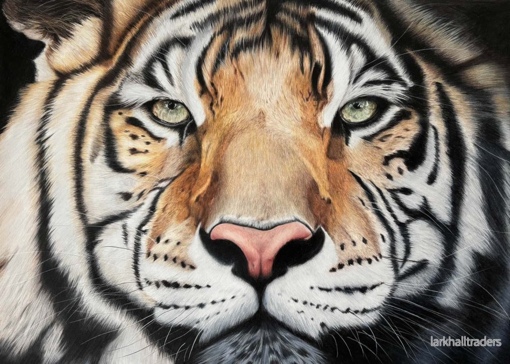 TIger - Signerad och numrerad Fine Art Print (från originalmålning) - Bild 3