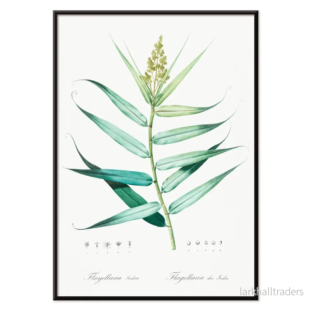 Buskkäpp Poster - Bild 2
