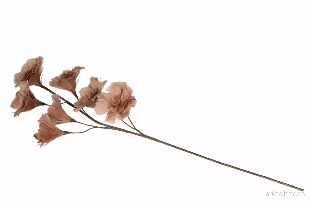 Fjäderblomma Kvist Mullvad - Bild 3