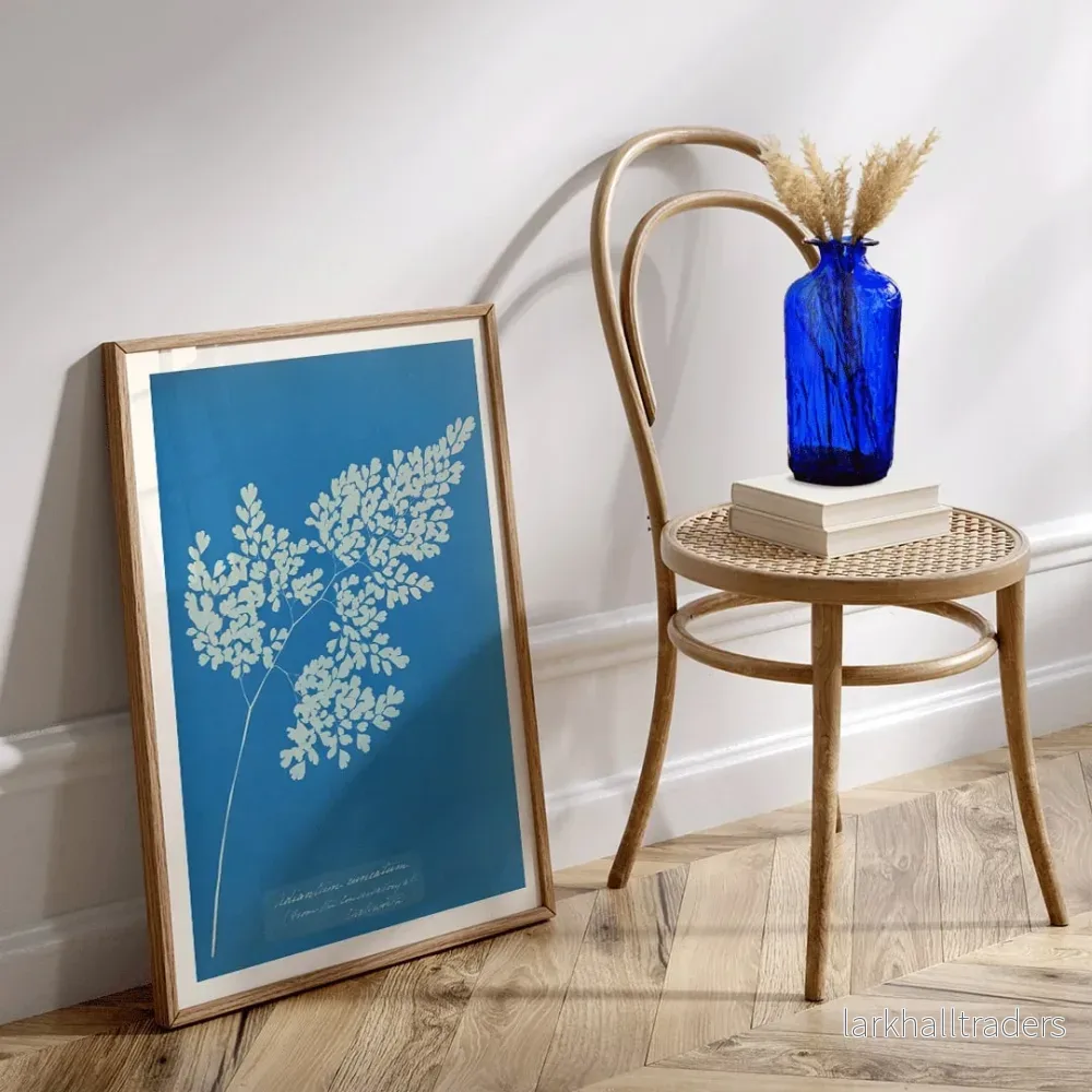 Adiantum cuneatum Poster