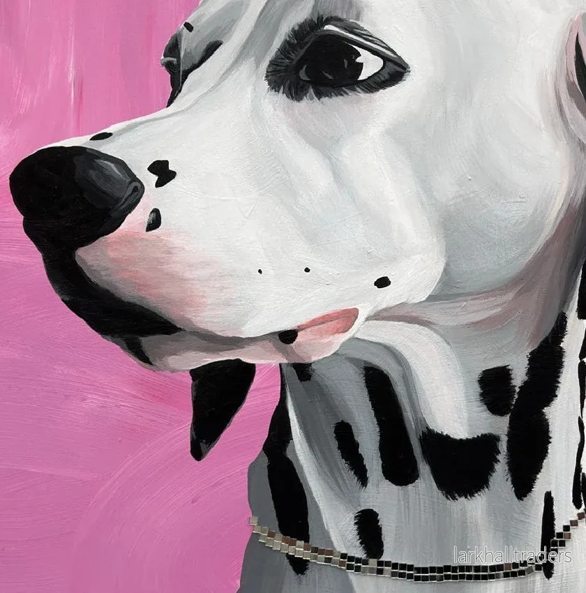 Spotify Original - Bild 3