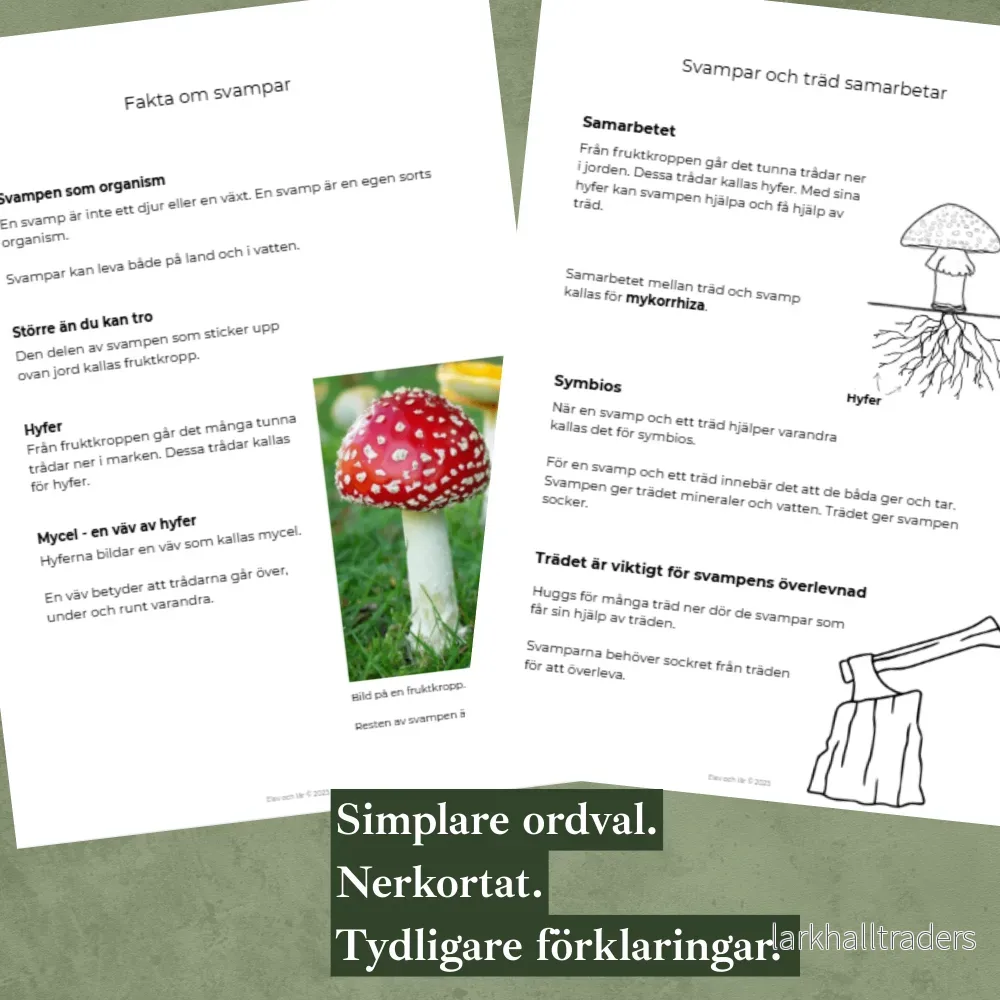 Svampar differentierat material. Faktatexter i två nivåer, svampens delar, mattesvamp, skriva egen faktatext - Bild 2