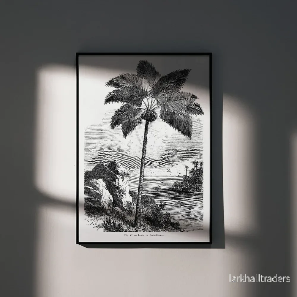 Les Palmiers Histoire Iconographique 3 Poster