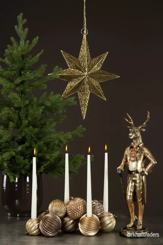Julstjärna Vision - Bild 2