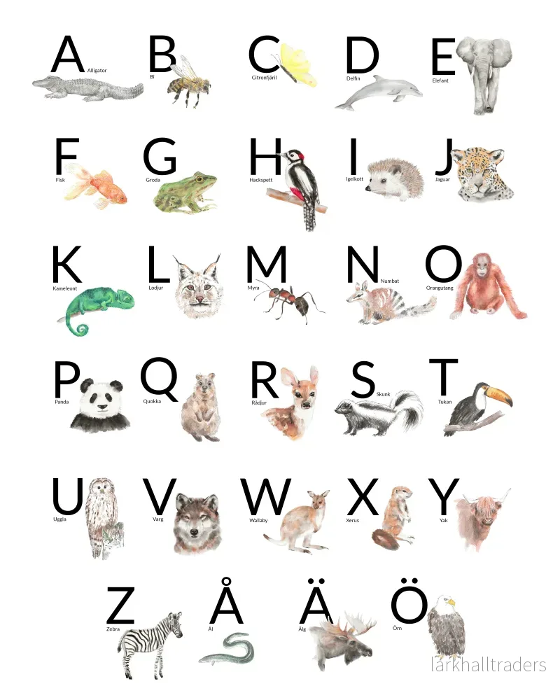 Animal Alphabet (Swedish) Poster - Bild 3